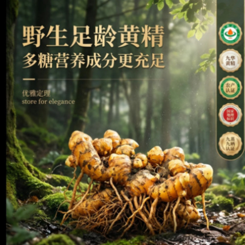 数字人与多模态创作展示